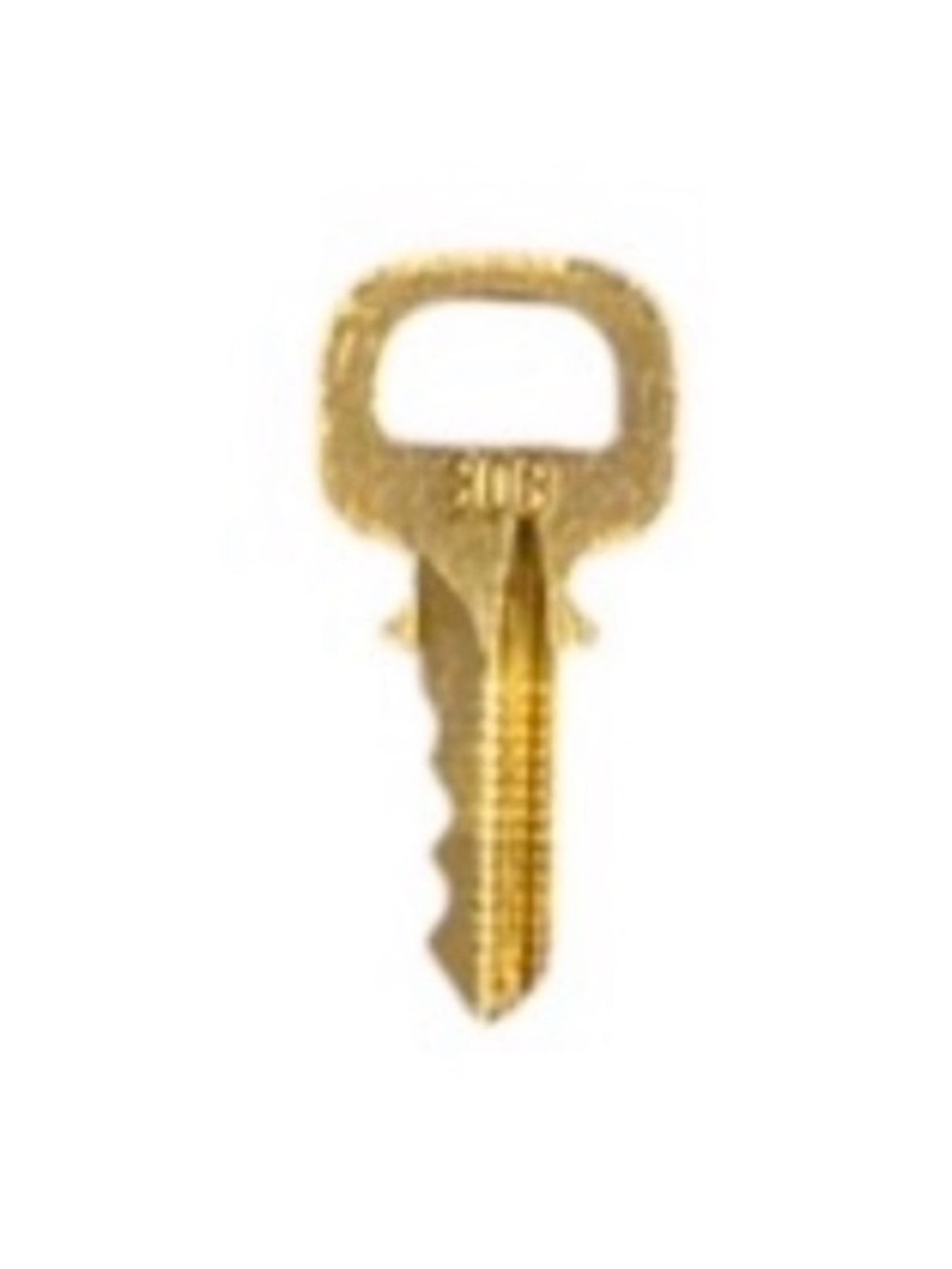 Louis Vuitton Key #303